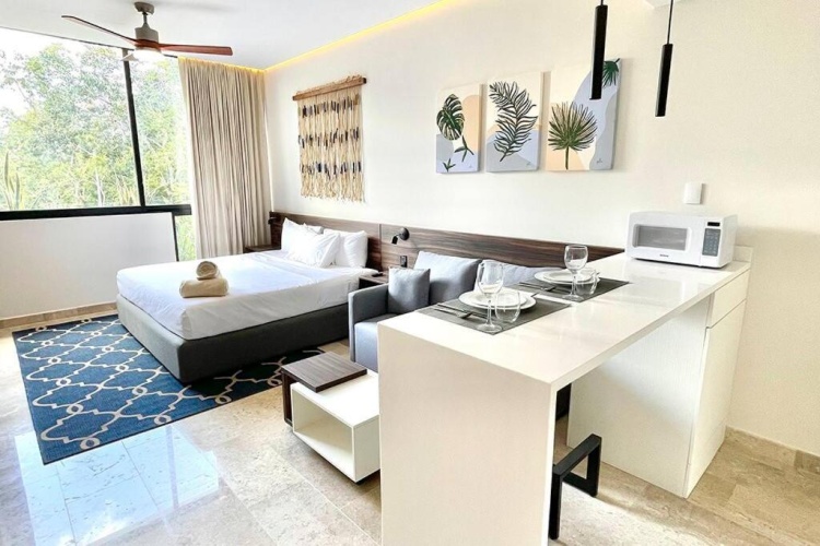 1 Bedroom Apartment