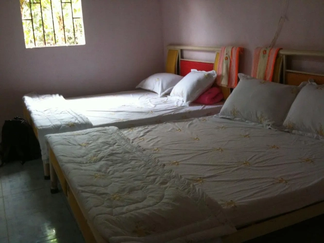 Bed in Dorm