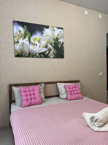 Фотография номера квартиры Апартаменты на улице Пролетарская 288/3