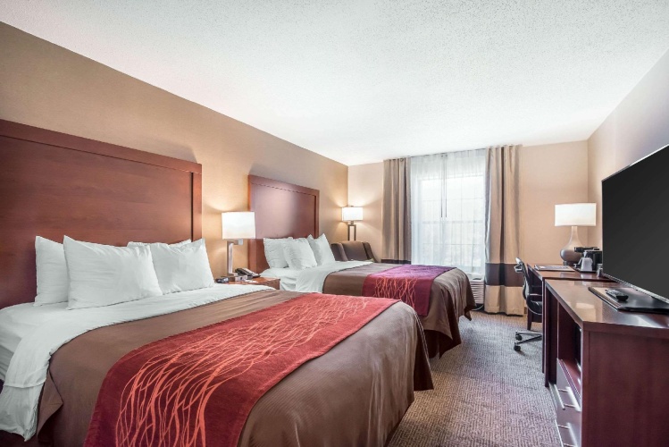 Business Quadruple room