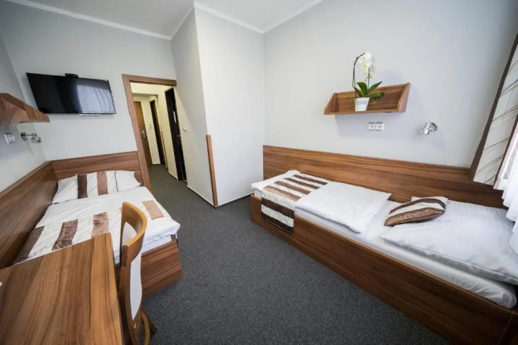 Hotel u Ledu