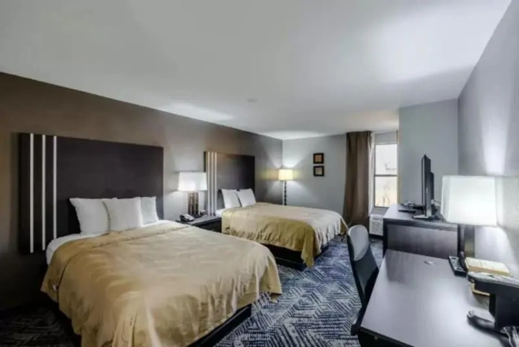Twin Suite