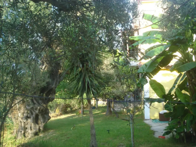 Villa Theodora