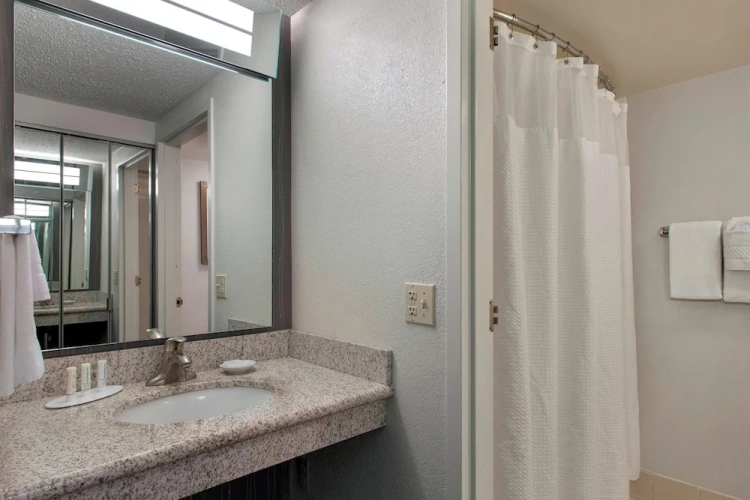 1 Bedroom Suite
