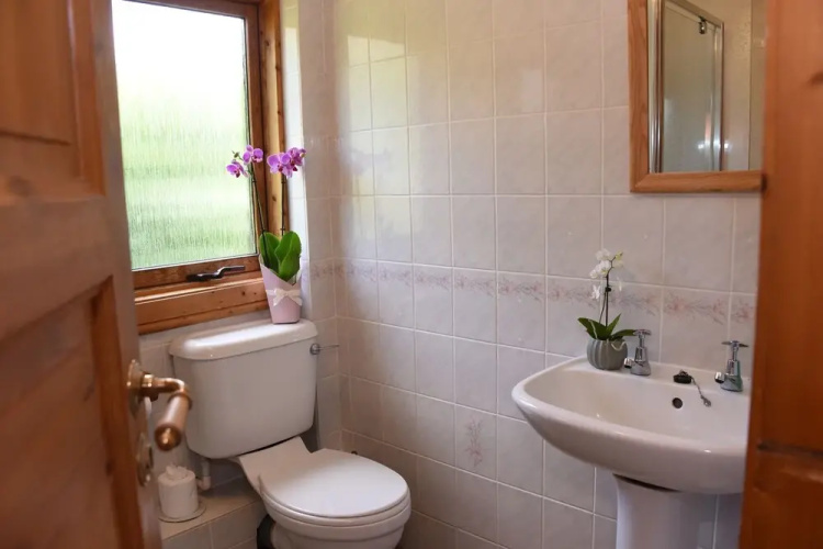 Tawny Owl Lodge