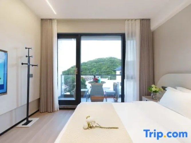 Standard Double room with balcony and with sea view
