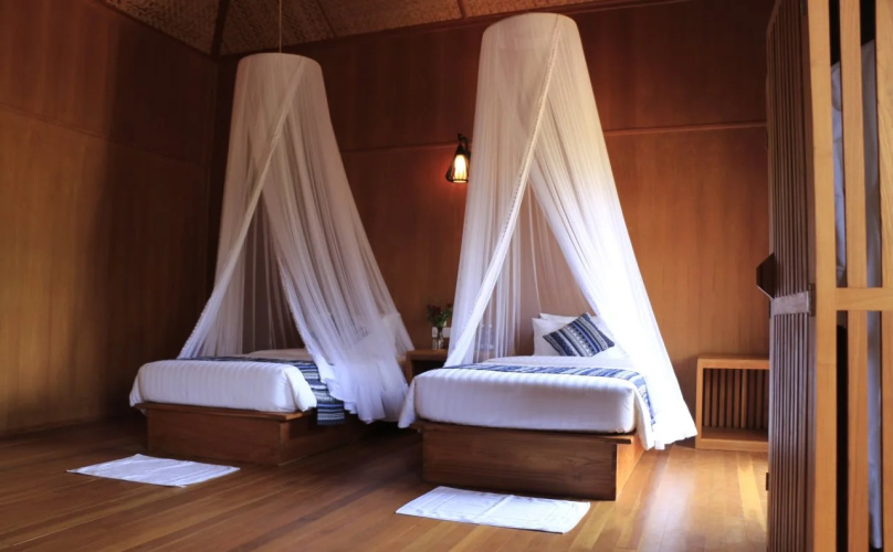 Blue Vanda Lodge