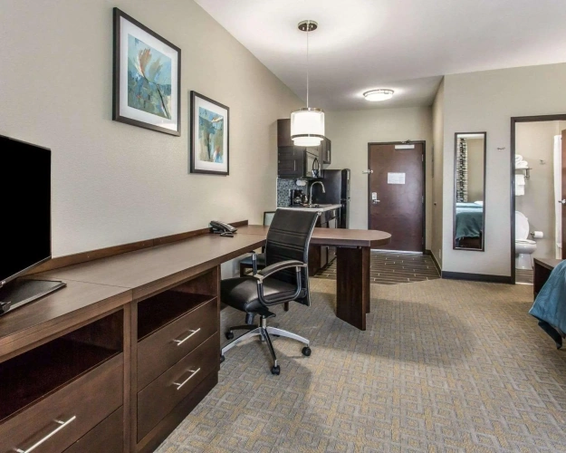 Quadruple Suite