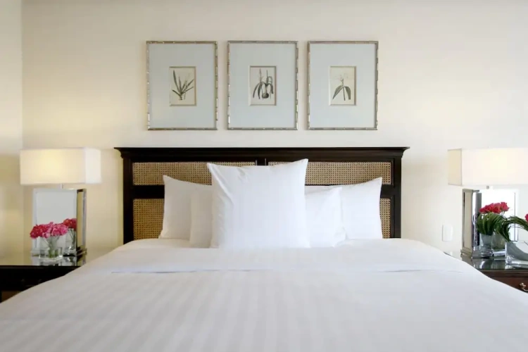 1 Bedroom Deluxe Suite with balcony