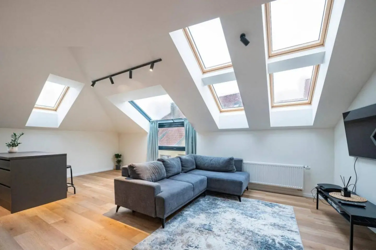 LOFT 1 BD Castle Apartament