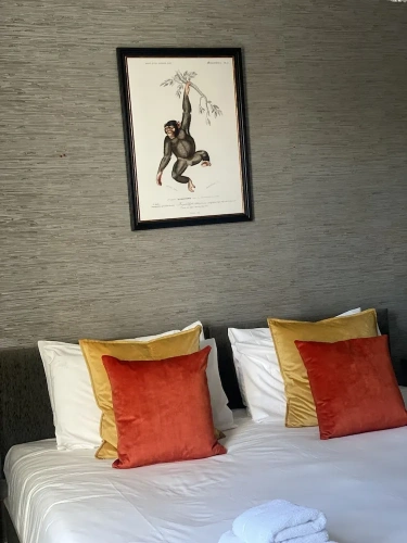 Standard Double room with garden view