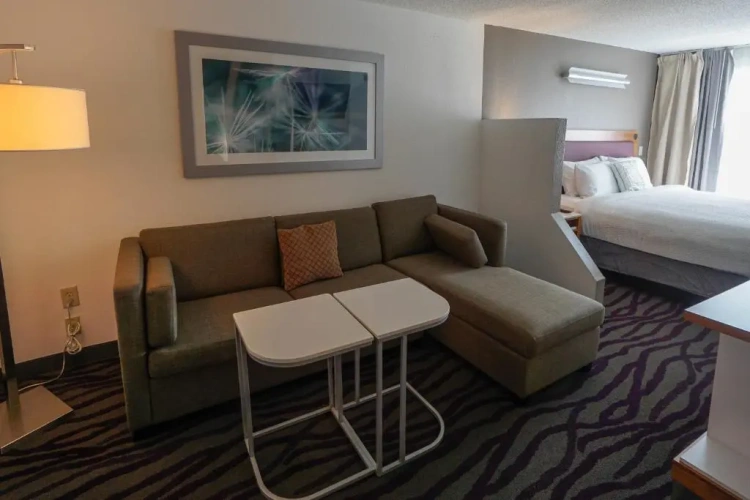 Suite