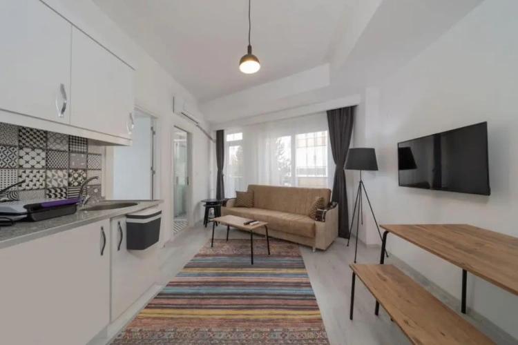 1 Bedroom Apartment