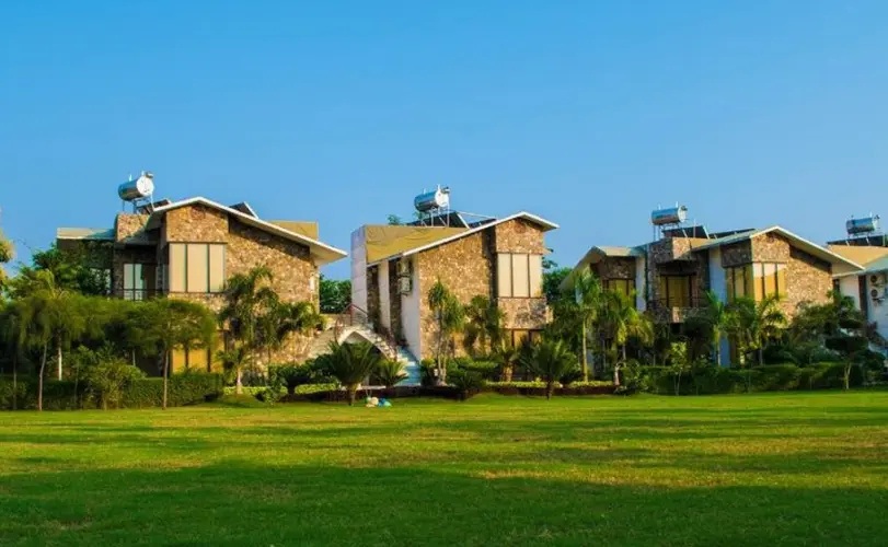The Roar Resort