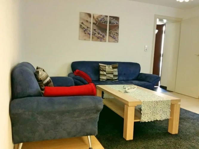 1 Bedroom Basement Apartment