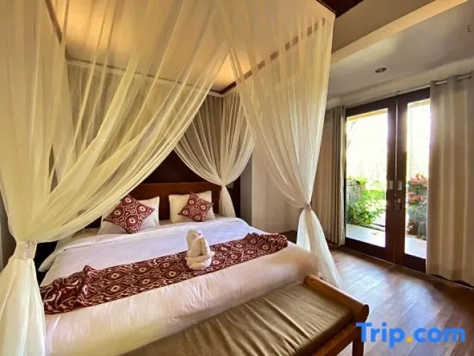 1 Bedroom Suite