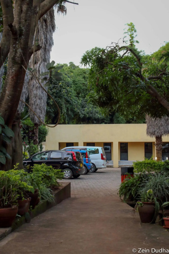 Villa 33