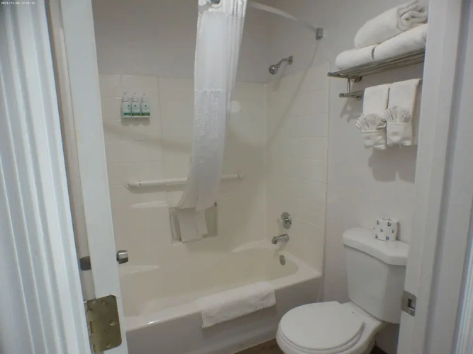 Deluxe Quadruple Suite