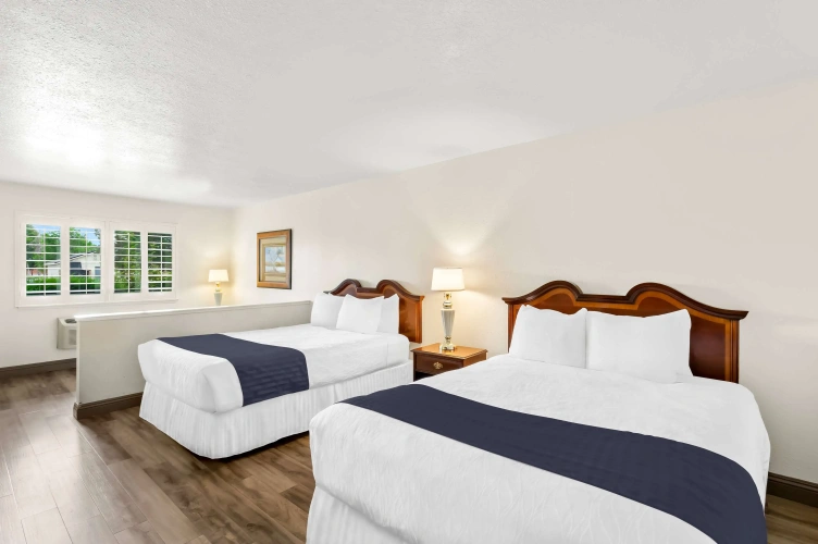 Quadruple Suite