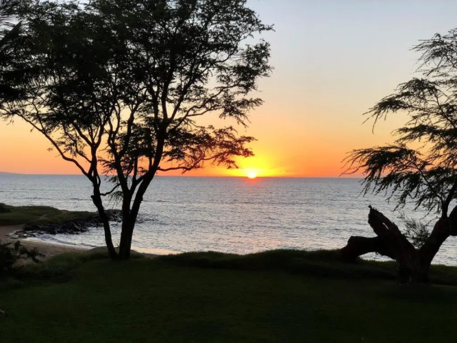 Aloha WAI2