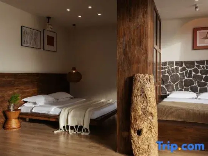 Family Suite with ocean view