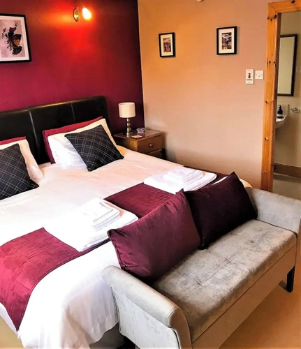 Standard Double room with lake view