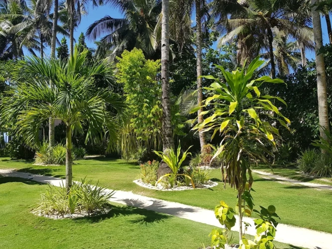 Deluxe Double room with garden view