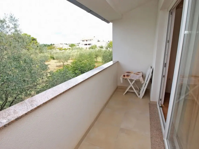 Apartment 446
