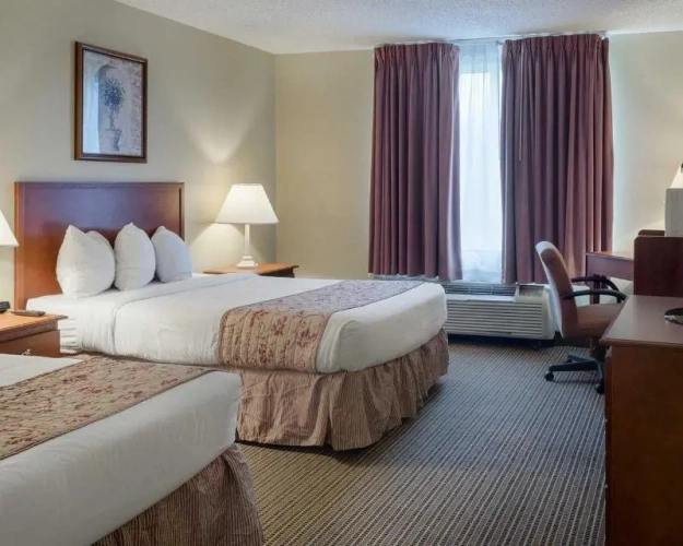 Quadruple Suite