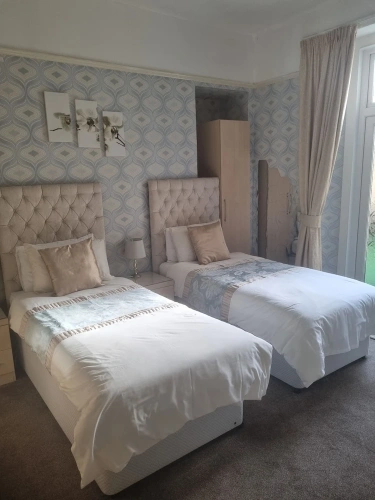 Deluxe Twin Basement room