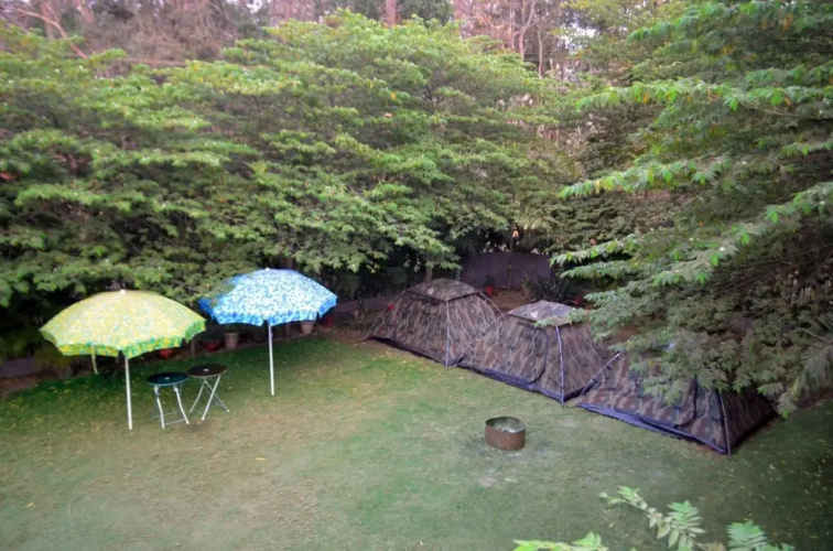 Dandeli Jungle Villa