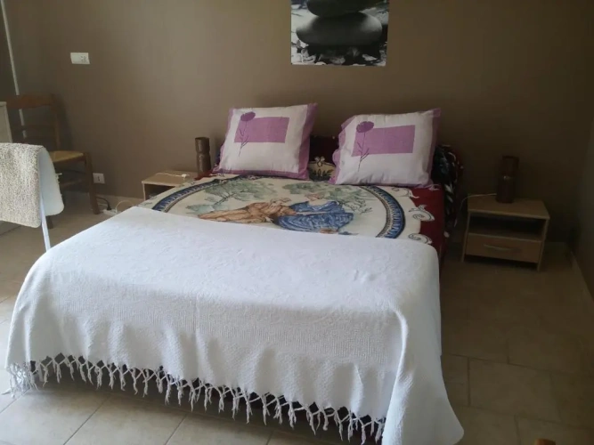 Standard Double room with pool view