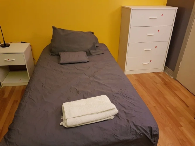 Standard Twin room with city view