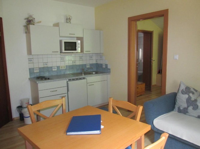 Apartment with garden view