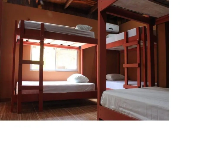 Bed in Dorm