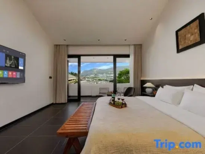 Standard Double room with balcony