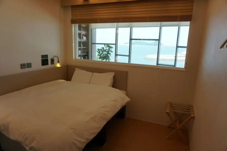 Standard Double room with ocean view