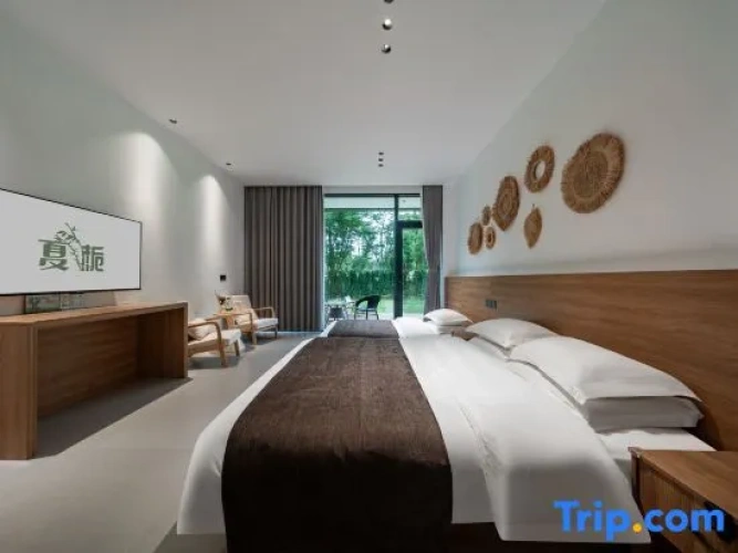 Standard Double room with courtyard view