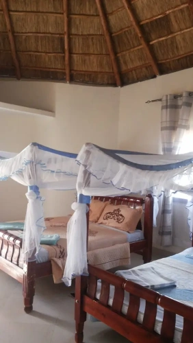Standard Twin room with balcony