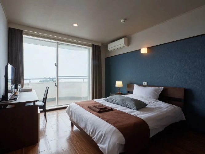 Standard Double room with ocean view