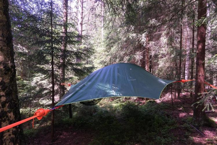 Baumzelt im Wald