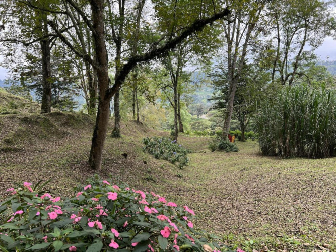 La Casa del Arbol