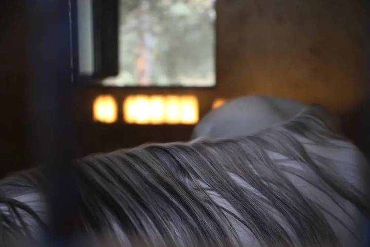 The Ranch - Lodge & Equestrian Center