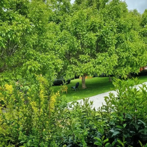 Cottage