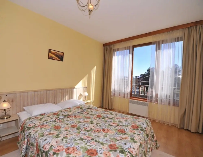1 Bedroom Apartment