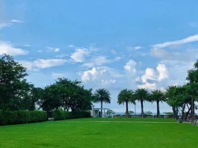 Outside