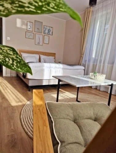 Superior Double room with garden view