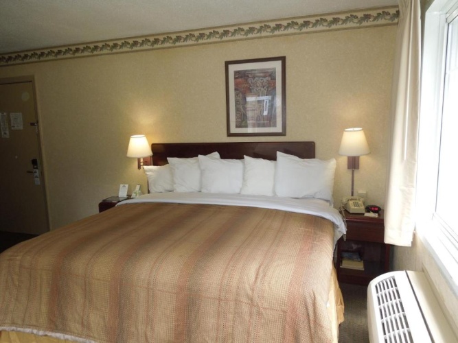 Standard room