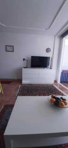 Teror 503
