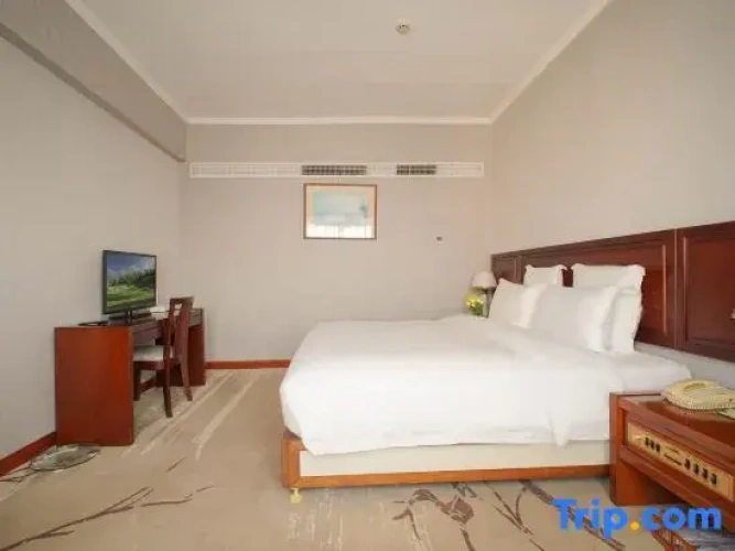Double Suite with city view